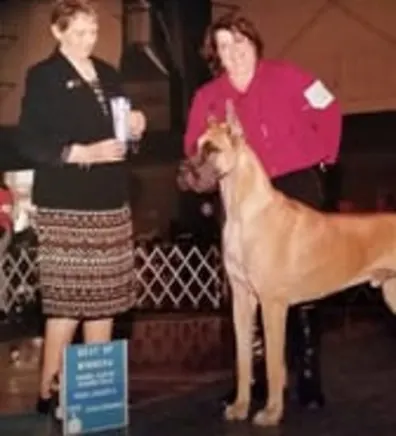 Sarah Blakeslee - Groomer Sarah Blakeslee - Groomer