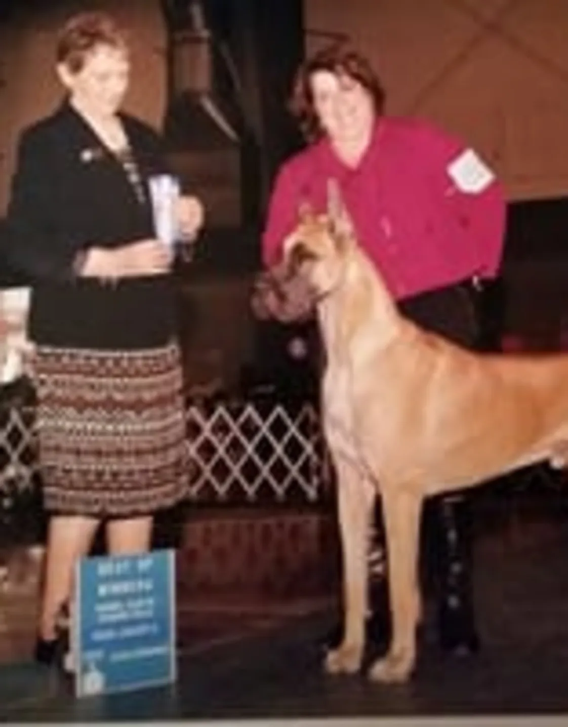 Sarah Blakeslee - Groomer Sarah Blakeslee - Groomer