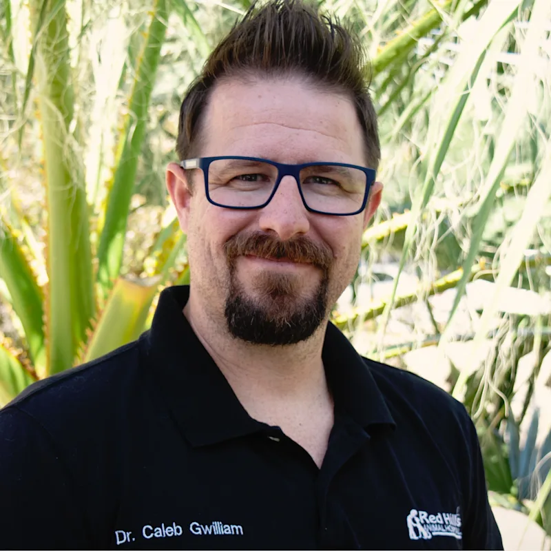 Dr. Caleb Gwilliam from Red Hills Animal Hospital Dr. Caleb Gwilliam from Red Hills Animal Hospital