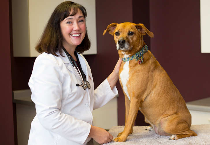 Dr. Sarah Whatley with Dog