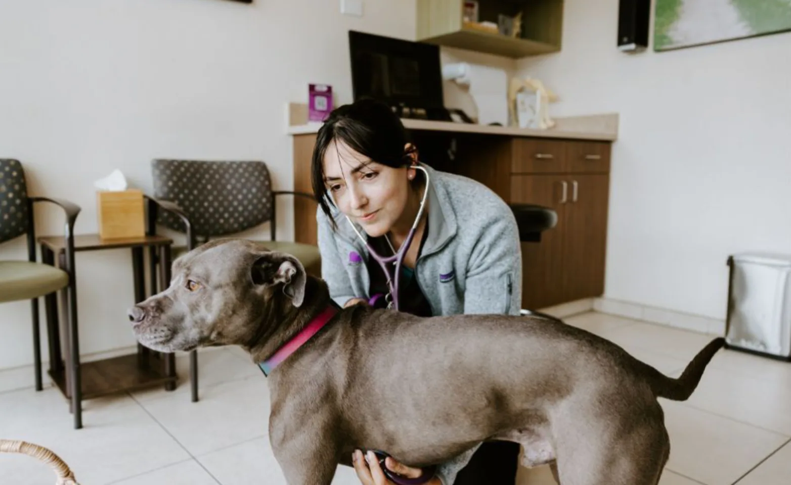 A staff member with a dog A staff member with a dog