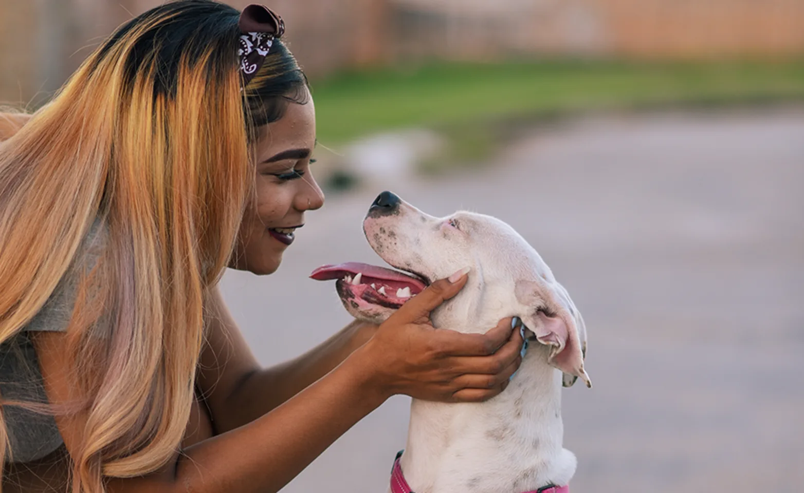 A person kissing a dog A person kissing a dog