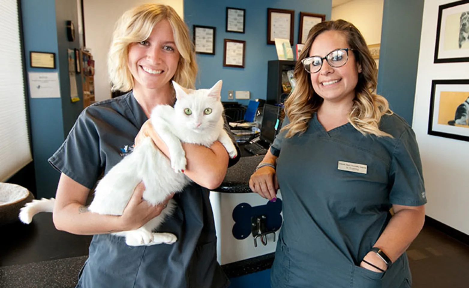 Belmont Staff with cat Belmont Staff with cat