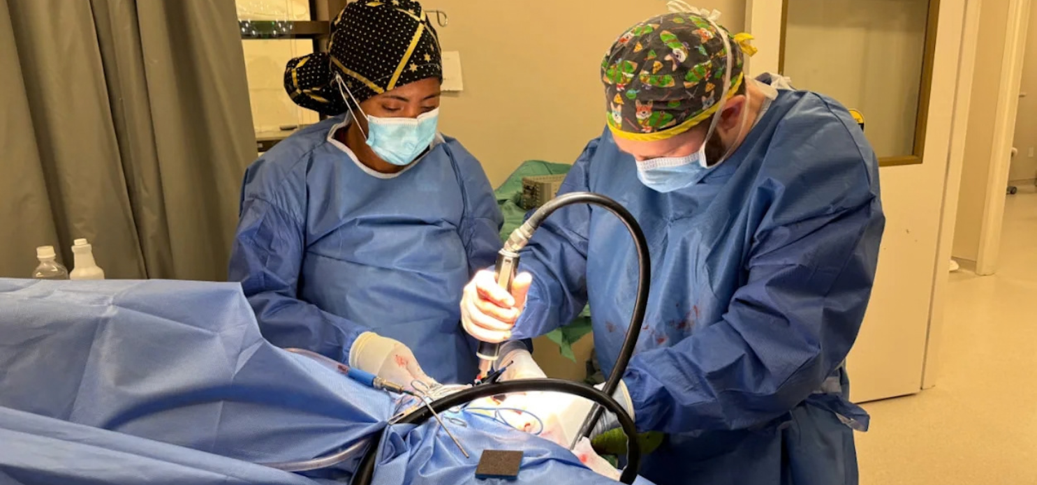 Test your TPLO knowledge: How sharp are your orthopedic skills?