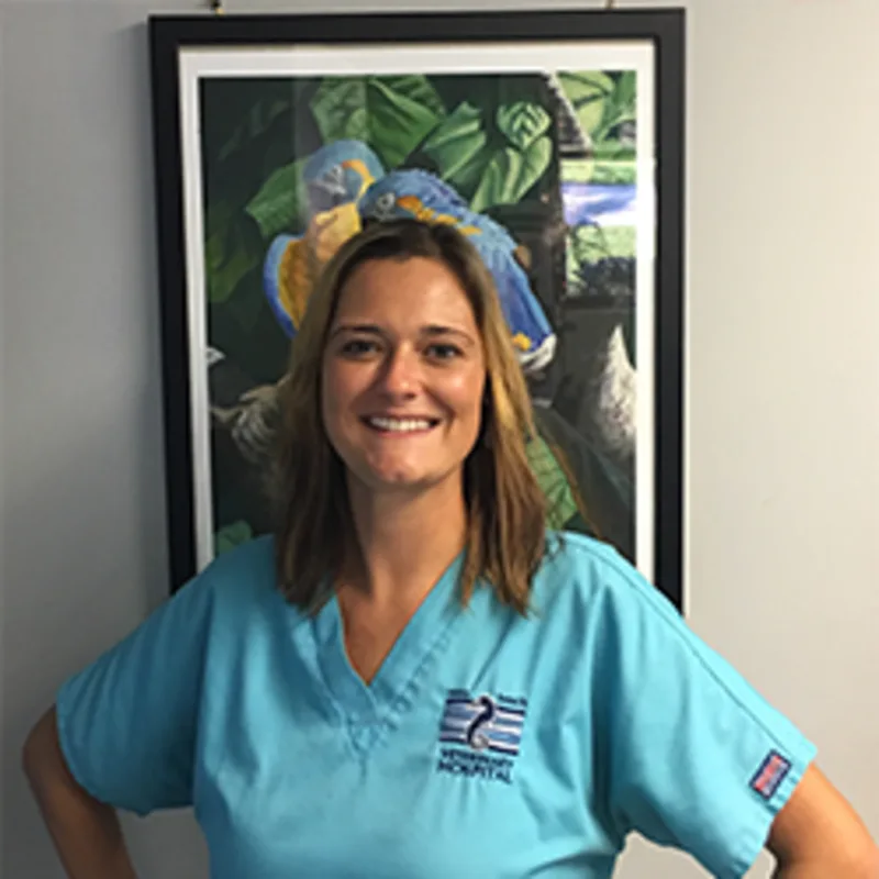Heather from Vero Beach Veterinary Hospital Heather from Vero Beach Veterinary Hospital