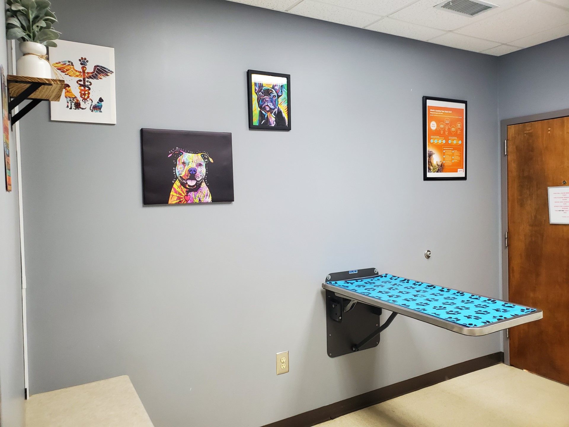 Lake Chatuge Pet Examination Room