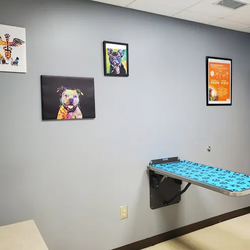 Lake Chatuge Pet Examination Room Lake Chatuge Pet Examination Room