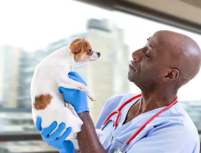 Man holding up dog