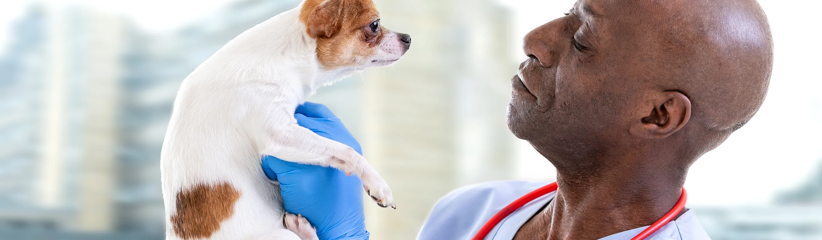 Man holding up dog Man holding up dog