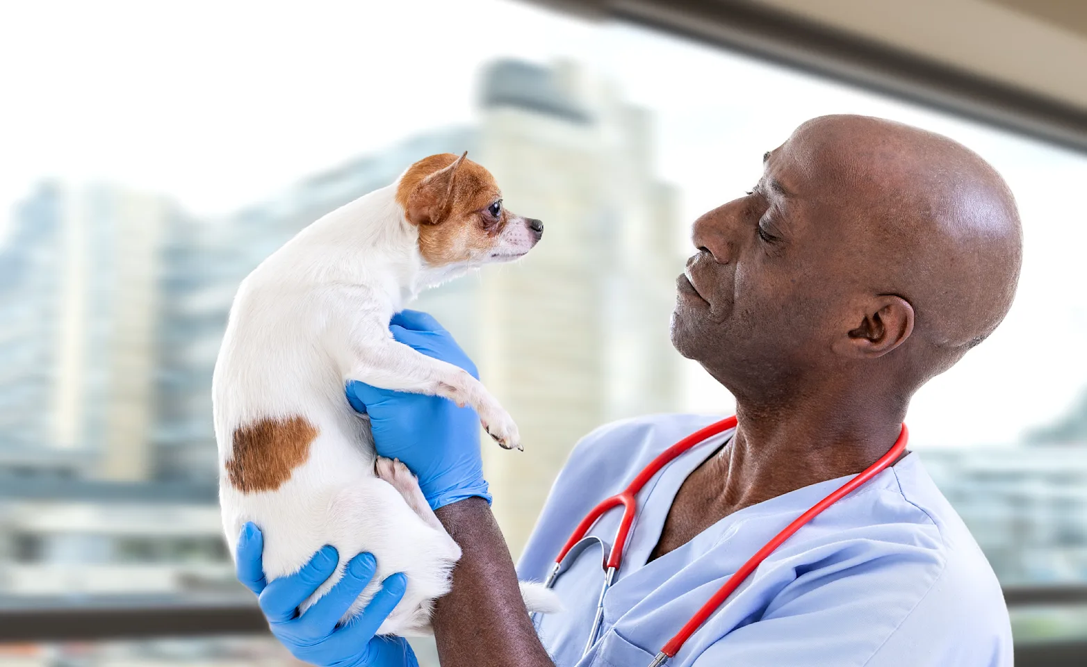 Man holding up dog