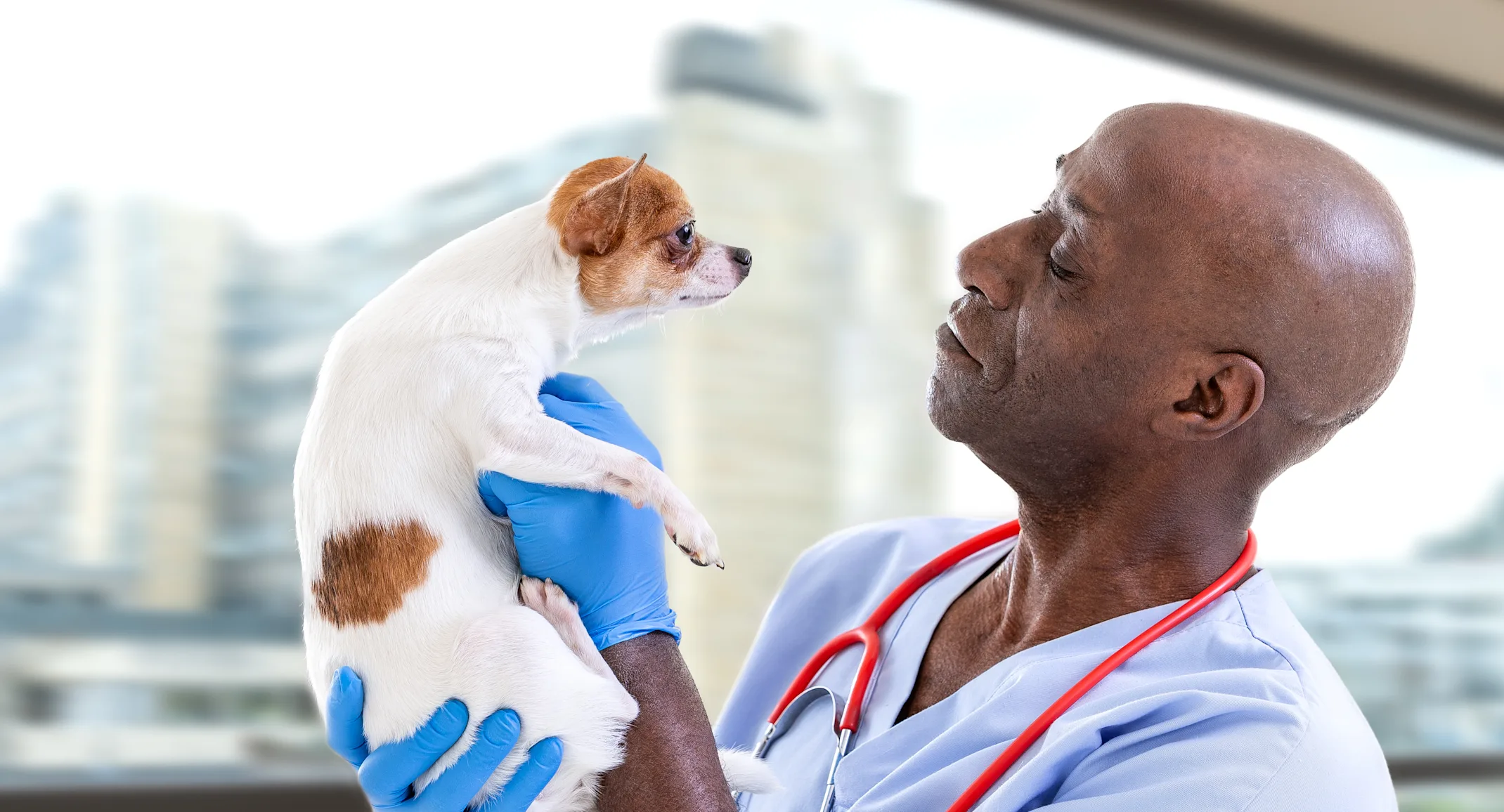 Man holding up dog Man holding up dog