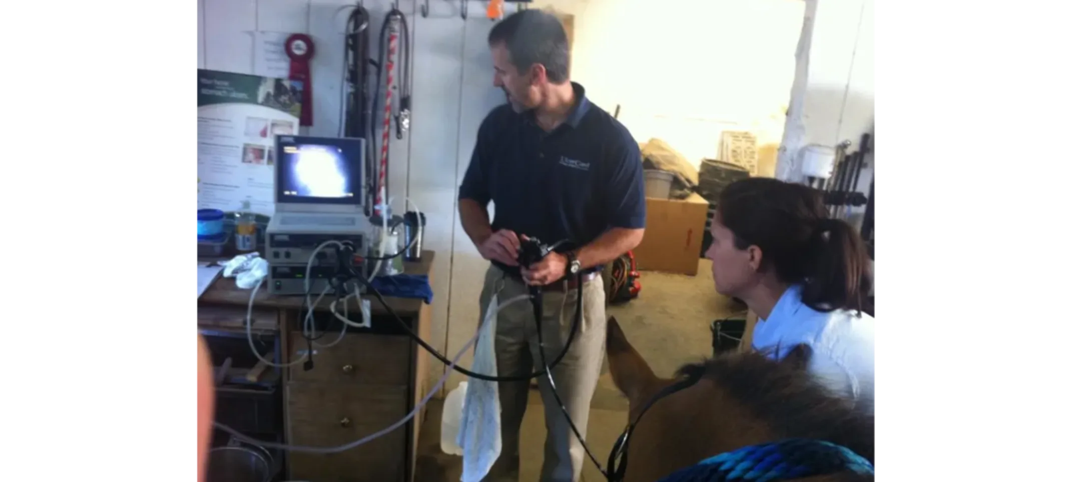Veterinarian performing an endoscopy exam on a horse Veterinarian performing an endoscopy exam on a horse