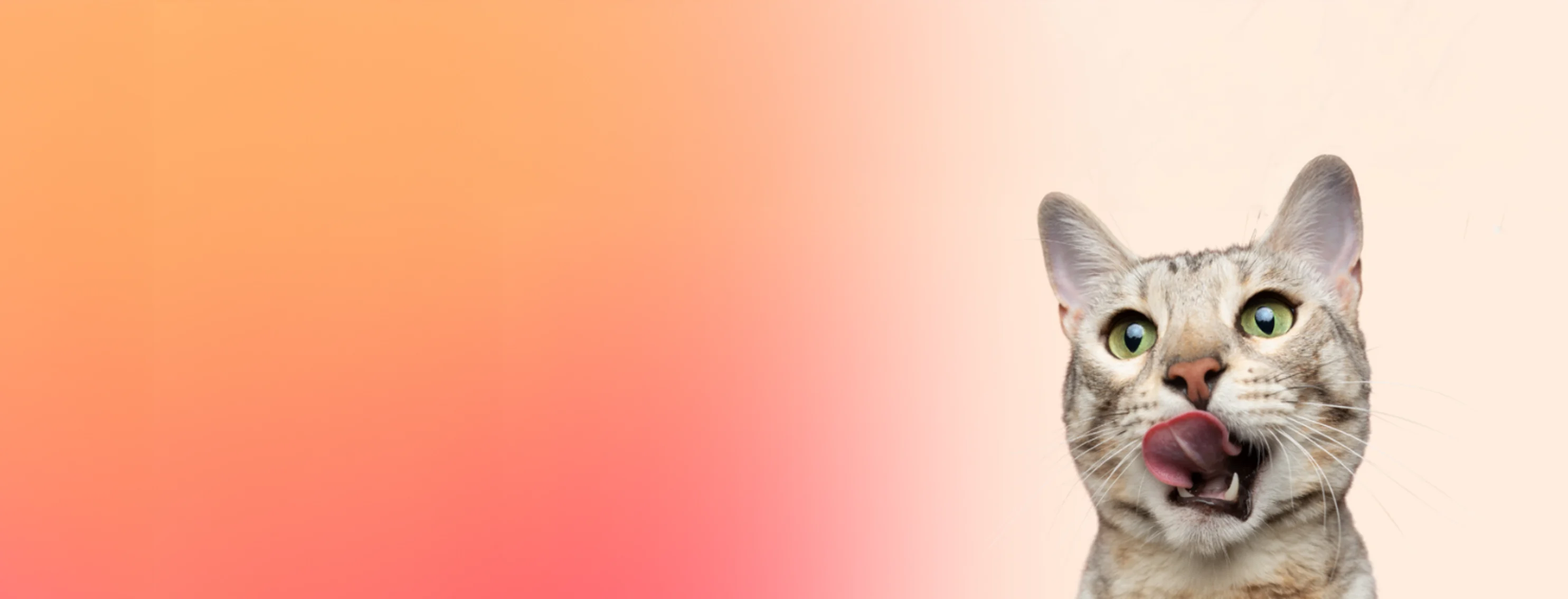 Fresh Kisses Promo (Cat) Fresh Kisses Promo (Cat)