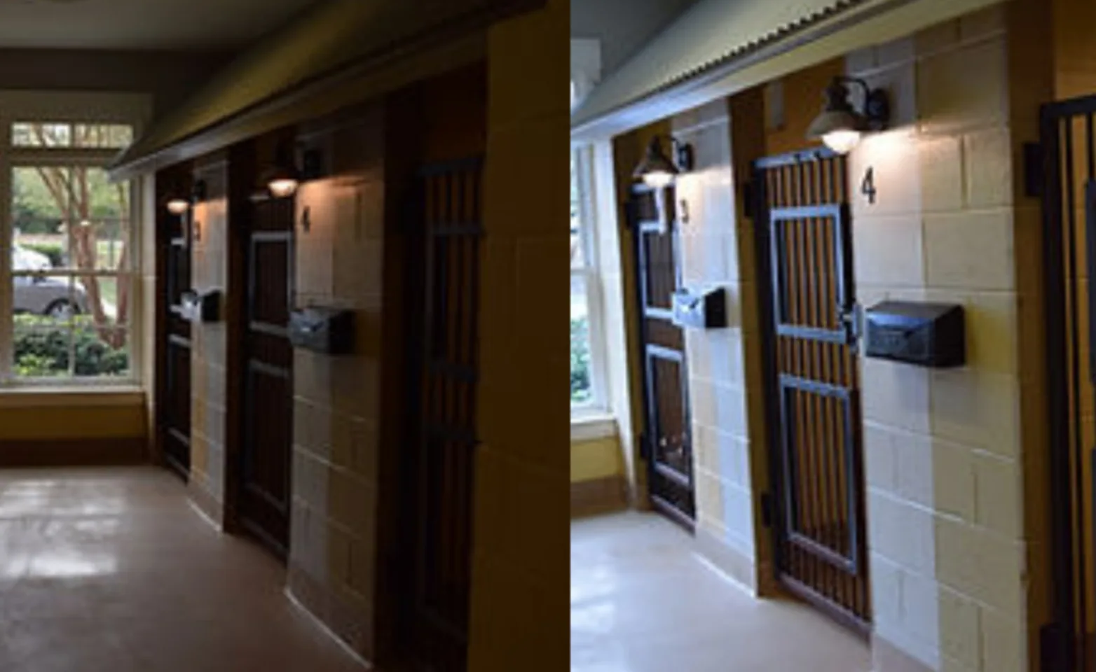 Two Picture of the Luxury Boarding Suites Two Picture of the Luxury Boarding Suites