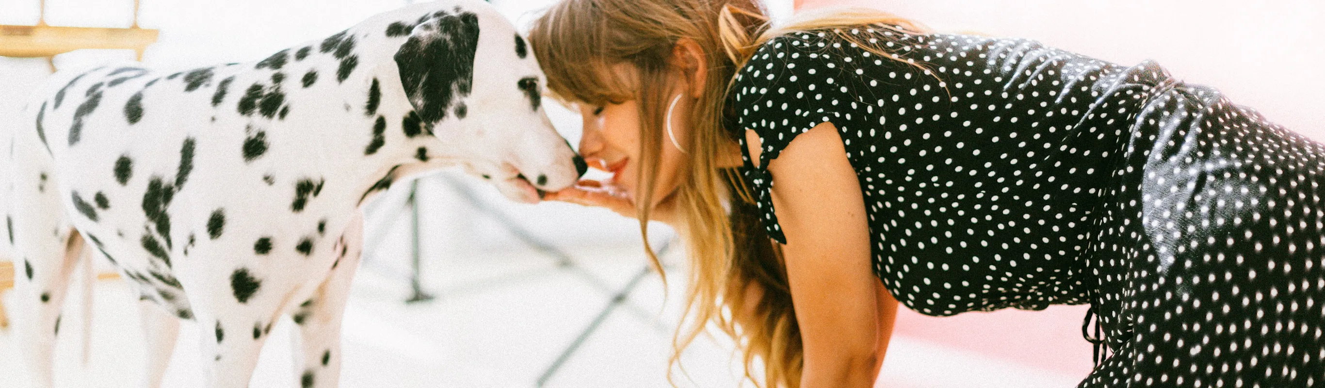 Woman Cuddling Spotted Dog Woman Cuddling Spotted Dog