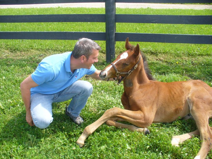 Veterinarian kneeling next to young horse