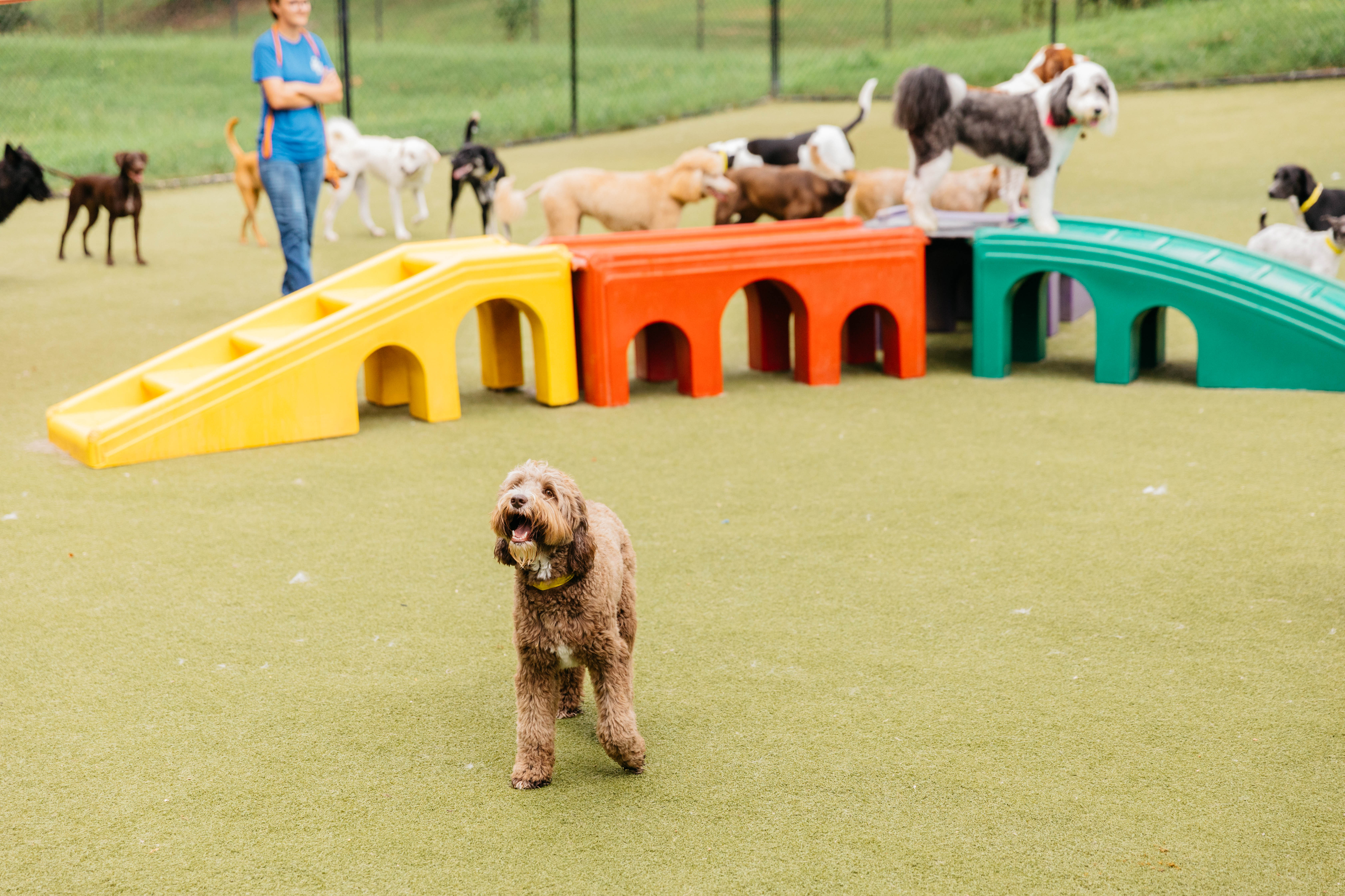 My Second Home Playground