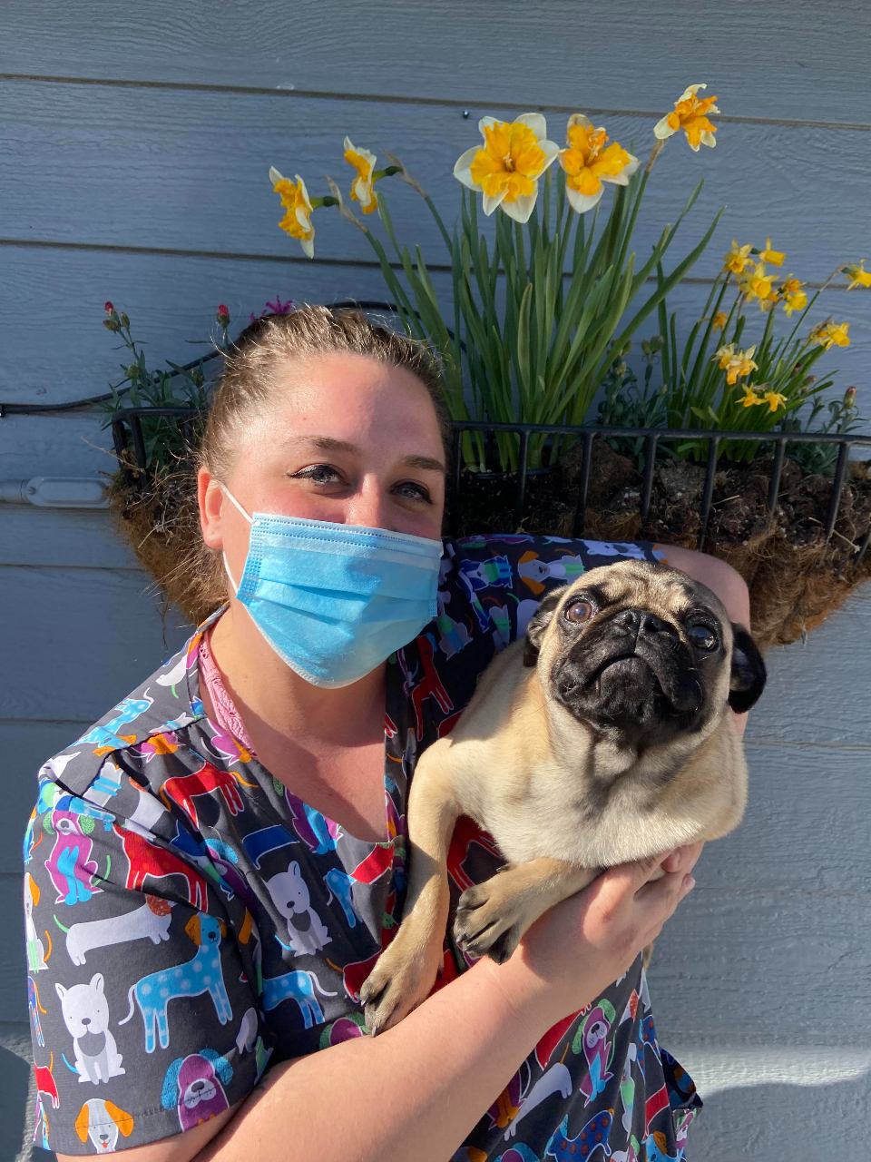 Staff holding a pug