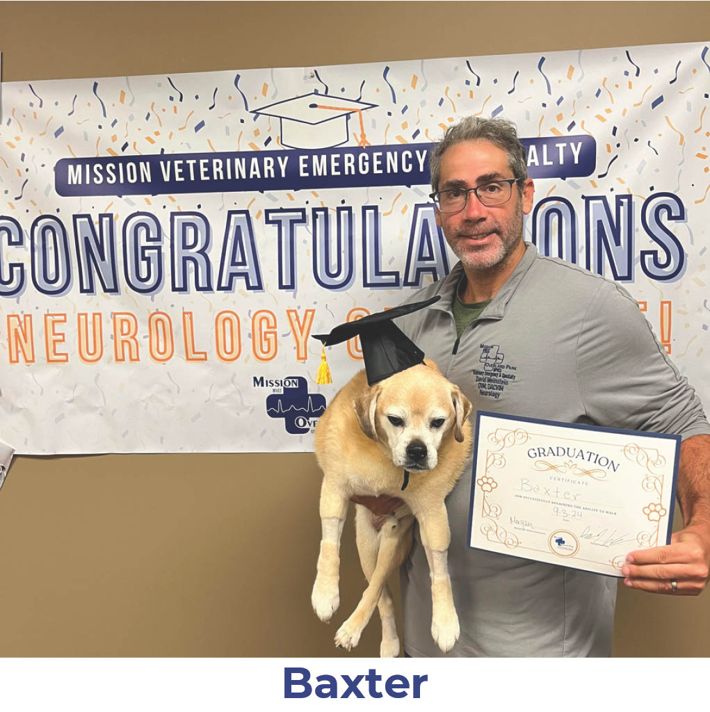 Baxter the dog with Neurology Graduate Hall of Fame certificate
