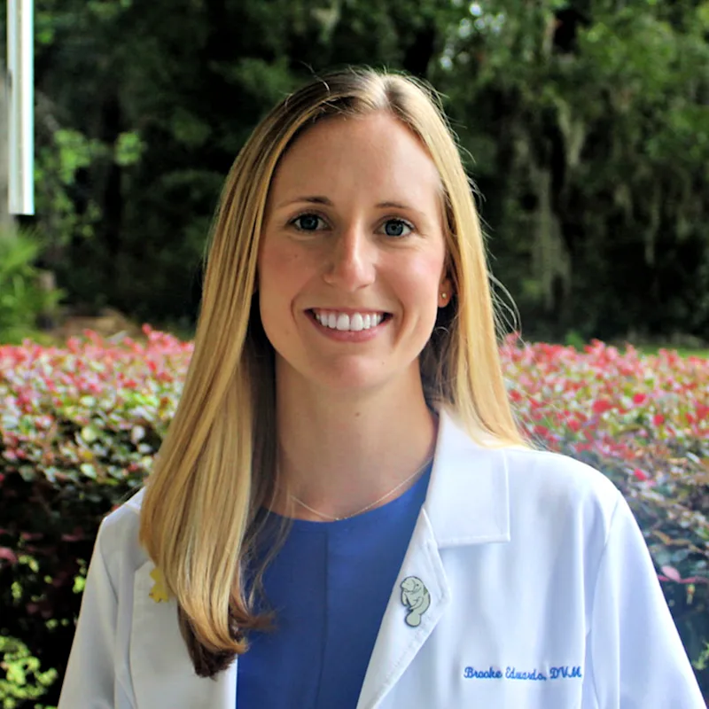 Brooke Edwards at Town and Country Animal Hospital Brooke Edwards at Town and Country Animal Hospital
