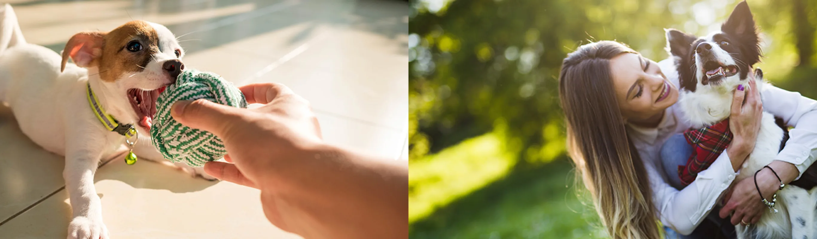 Two images- Left one is a puppy laying and biting a toy ball and the right image is a person hugging a dog outdoors Two images- Left one is a puppy laying and biting a toy ball and the right image is a person hugging a dog outdoors