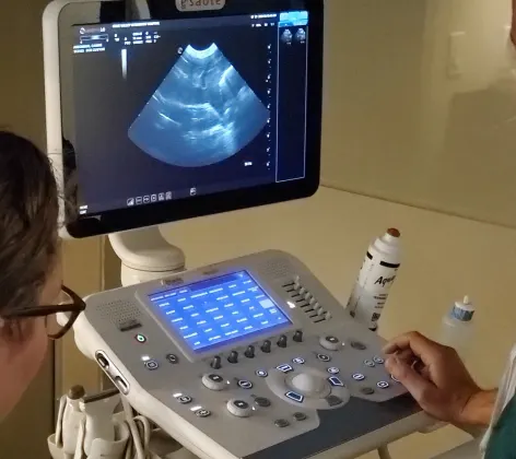 An ultrasound machine