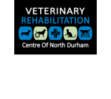 Rehab Logo
