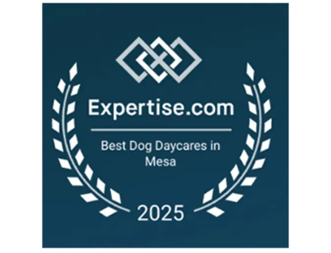 Expertise Award- Best Dog Daycare in Mesa. Awarded to 4 Paws Pet Resort Expertise Award- Best Dog Daycare in Mesa. Awarded to 4 Paws Pet Resort