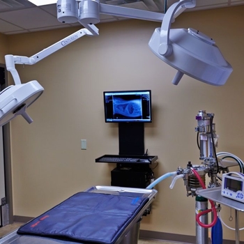 Surgery Suite at Hospital 