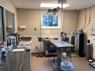 St. George Hunt Memorial Veterinary Hospital Surgery