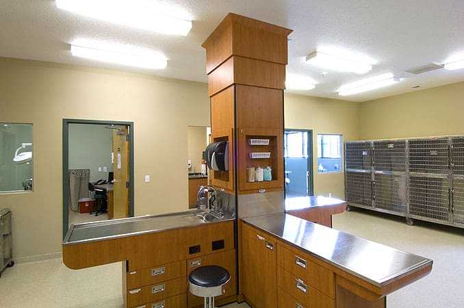 Braden River Animal Hospital Treatment Room
