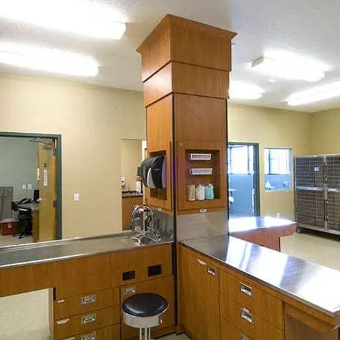 Braden River Animal Hospital Treatment Room Braden River Animal Hospital Treatment Room