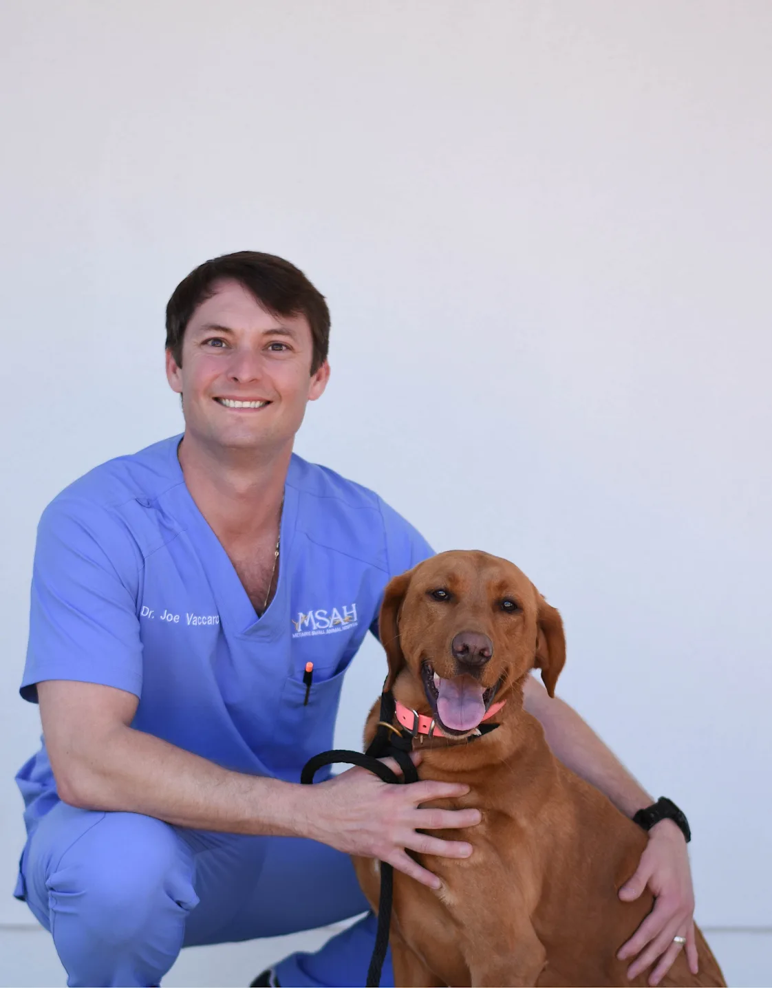 Joe Vaccaro with two dogs Joe Vaccaro with two dogs