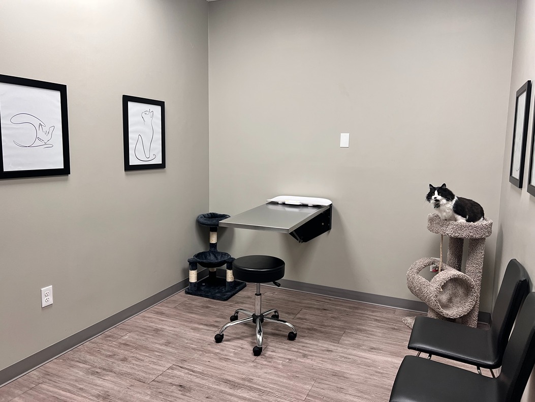 Pleasanton Veterinary Hospital Exam Room