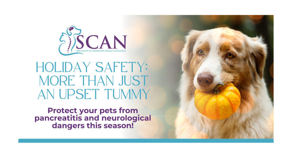 Pancreatitis and neurological side