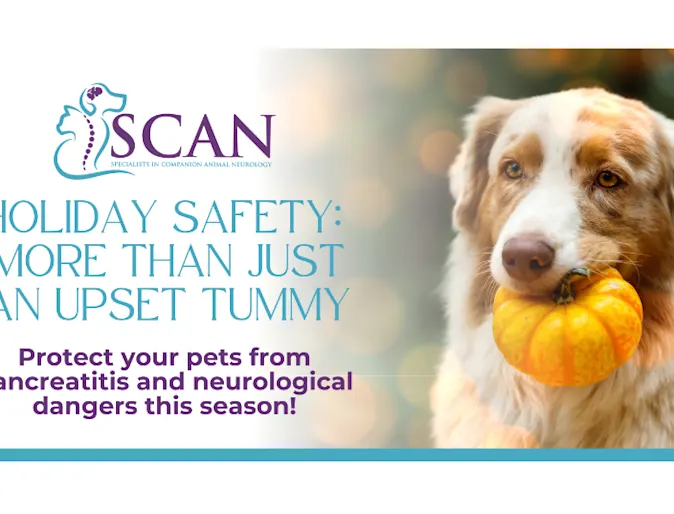 Pancreatitis and neurological side Pancreatitis and neurological side