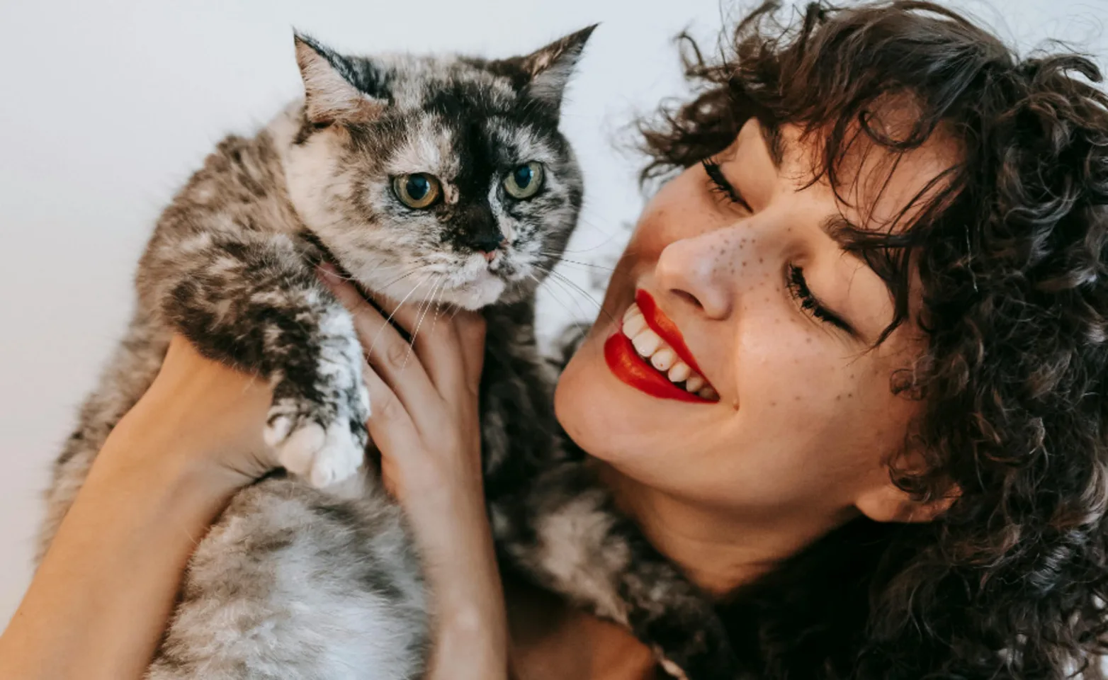 lady smiling holding grey & white heterochromia cat lady smiling holding grey & white heterochromia cat