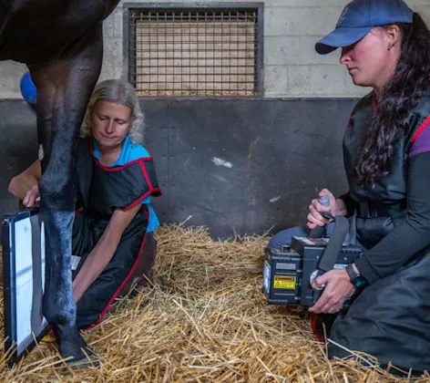 Two staff members taking an image of a horse's leg Two staff members taking an image of a horse's leg
