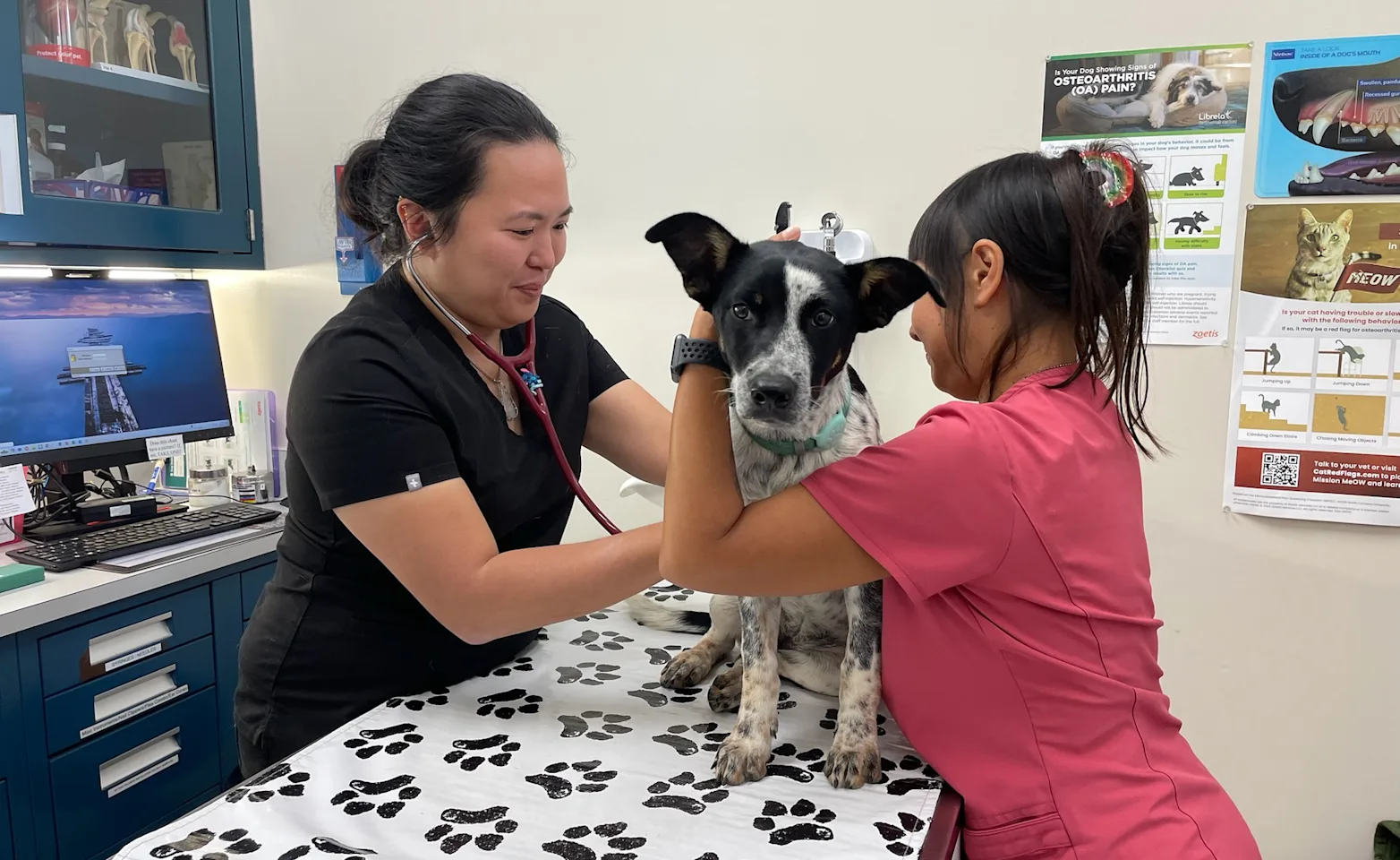 Doctor Examining Patient Doctor Examining Patient