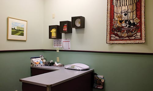Exam room inside Evergreen Veterinary Clinic