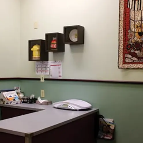 Exam room inside Evergreen Veterinary Clinic Exam room inside Evergreen Veterinary Clinic