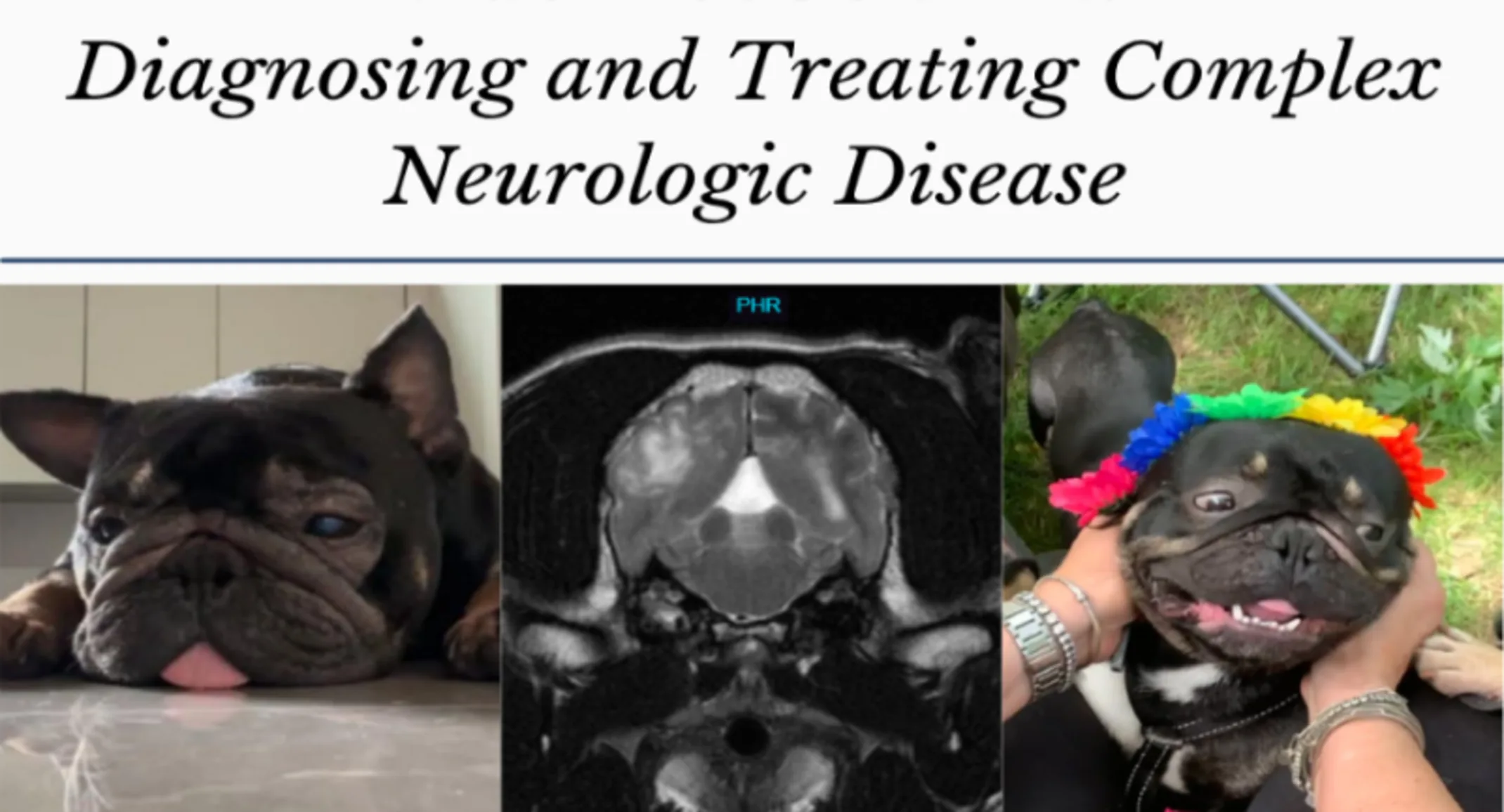 Inside Deebo's Brain Diagnosing and Treating Complex Neurological Disease Inside Deebo's Brain Diagnosing and Treating Complex Neurological Disease