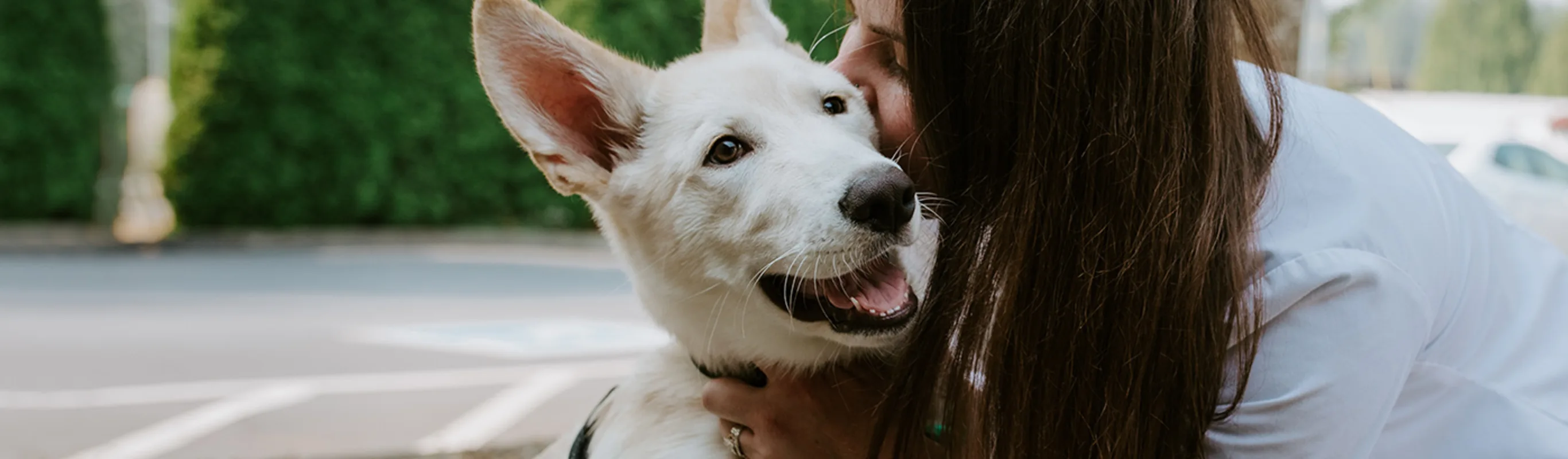 Girl staff kissing white dog at North Creek Pet Hospital