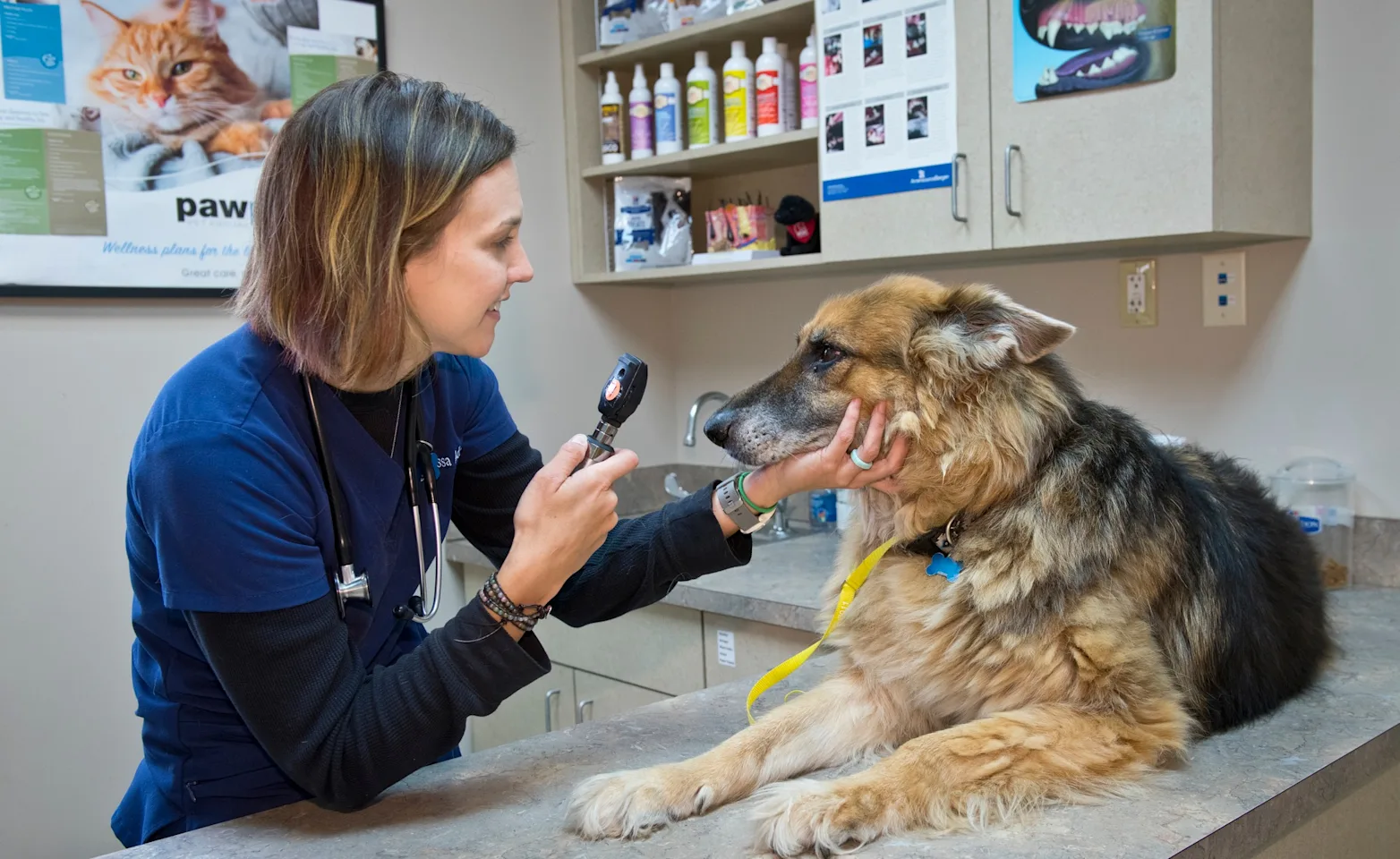 Vista Lakes staff member treating dog Vista Lakes staff member treating dog