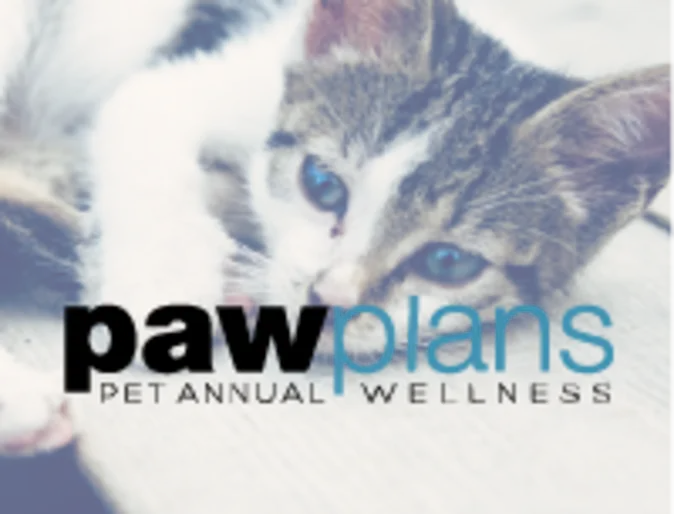 Cat version of Paw Plans Cat version of Paw Plans