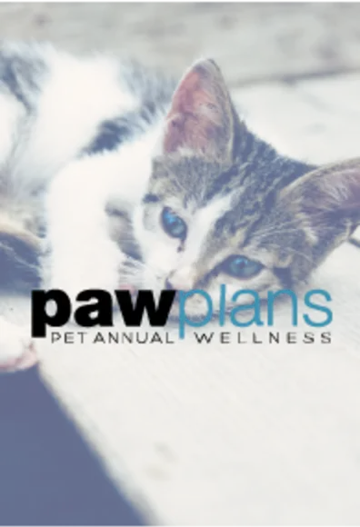 Cat version of Paw Plans