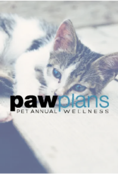 Cat version of Paw Plans Cat version of Paw Plans