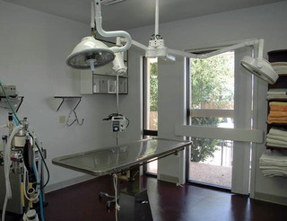 Large animal examination room.