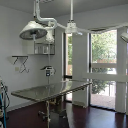 Large animal examination room. Large animal examination room.