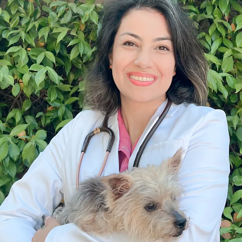 Dr. Hamideh Rahimi Dr. Hamideh Rahimi